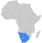 afrique_sud